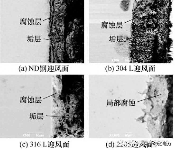 腐蚀检验检测_腐蚀钢检测结构设计_钢结构腐蚀检测