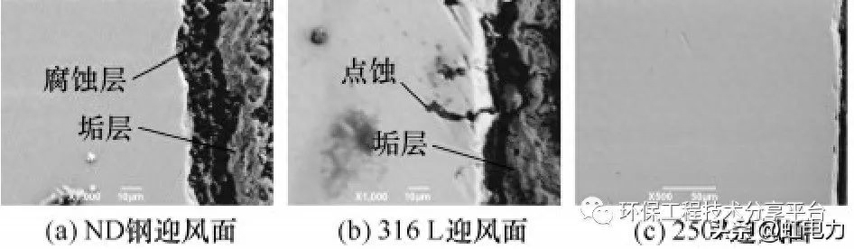 腐蚀钢检测结构设计_腐蚀检验检测_钢结构腐蚀检测