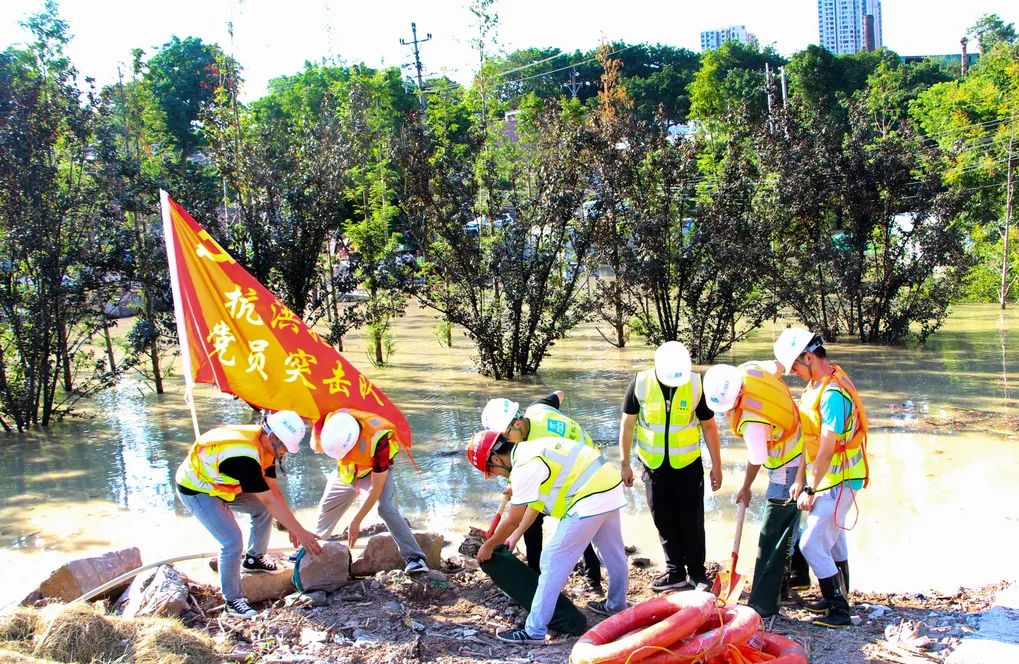 重庆钢结构设计公司_重庆钢结构产业公司_重庆钢结构产业有限公司官网