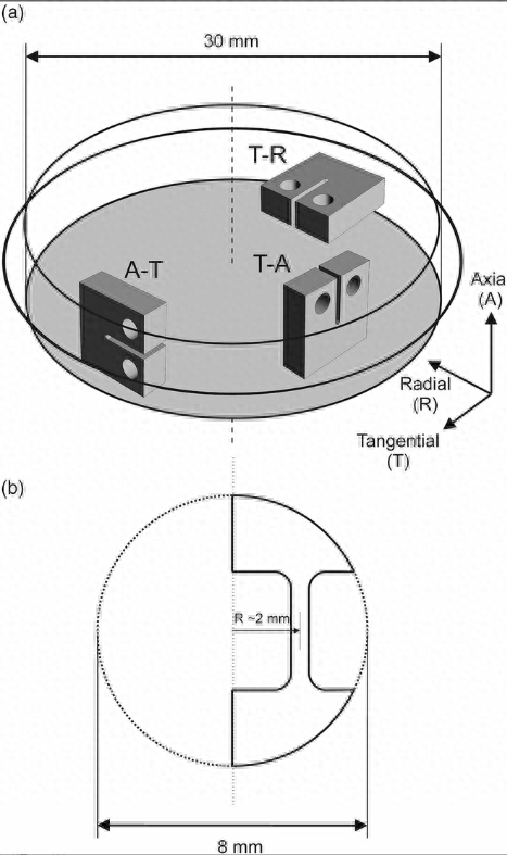 脆性断裂构造_钢结构脆性断裂案例_钢结构脆性断裂